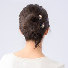 Load image into Gallery viewer, Complex Biz Flower Symphony Whip Clip 2pcs set
