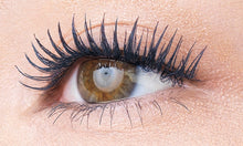 Load image into Gallery viewer, ALBION EXCIA Granforte Mascara
