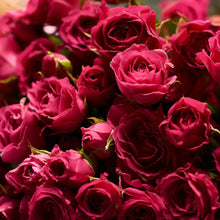 Load image into Gallery viewer, HACCI HONEY FACE OIL escapion 32ml
