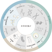 Load image into Gallery viewer, we lab (AFC) Herbal Reishi Spores Powder 60packs 60days
