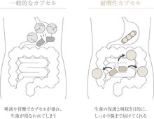 Load image into Gallery viewer, we world LUXURY PROBIOTICS+ 30packs 30days
