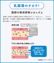 Load image into Gallery viewer, MEGMILK SNOW BRAND Lactobacillus gasseri SP 90capsules / 30days

