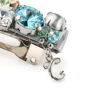Load image into Gallery viewer, Complex Biz Radially Shine Barrette
