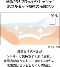 Load image into Gallery viewer, Shiseido PRIOR Cool Wrinkle Gel [Limited Quantity] 90g

