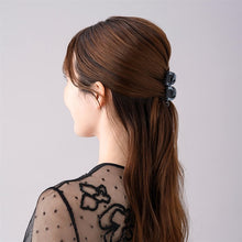 Load image into Gallery viewer, Complex Biz Playful Mesh Whip Clip 2pcs set
