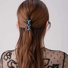 Load image into Gallery viewer, Complex Biz Playful Mesh Whip Clip 2pcs set
