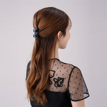 Load image into Gallery viewer, Complex Biz Playful Mesh Whip Clip 2pcs set
