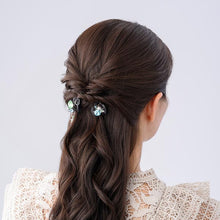 Load image into Gallery viewer, Complex Biz Radially Shine Whip Clip 2pcs set
