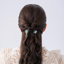 Load image into Gallery viewer, Complex Biz Radially Shine Whip Clip 2pcs set
