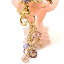 Load image into Gallery viewer, Complex Biz Radially Shine Whip Clip 2pcs set
