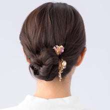 Load image into Gallery viewer, Complex Biz Radially Shine Whip Clip 2pcs set
