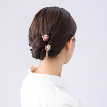 Load image into Gallery viewer, Complex Biz Radially Shine Whip Clip 2pcs set
