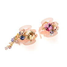 Load image into Gallery viewer, Complex Biz Radially Shine Whip Clip 2pcs set
