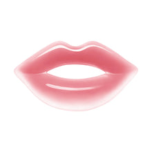 Load image into Gallery viewer, DECORTE Rouge Decorte Tint &amp; Plump
