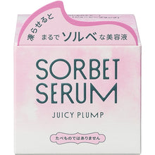 Load image into Gallery viewer, Shiseido SORBET SERUM S [Limited Quantity] 65g
