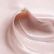 Load image into Gallery viewer, SHISEIDO THE GINZA HAND CREAM 60g
