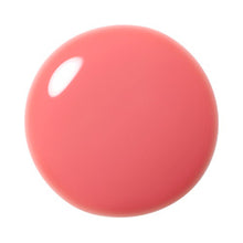 Load image into Gallery viewer, ADDICTION TOKYO THE LIP GLOSS
