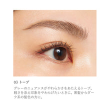 Load image into Gallery viewer, RMK Eyebrow Color
