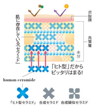 Load image into Gallery viewer, KOBAYASHI Pharmaceutical hifmid Essence Lotion 180ml
